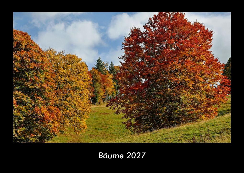 Bäume 2027 Fotokalender DIN A3