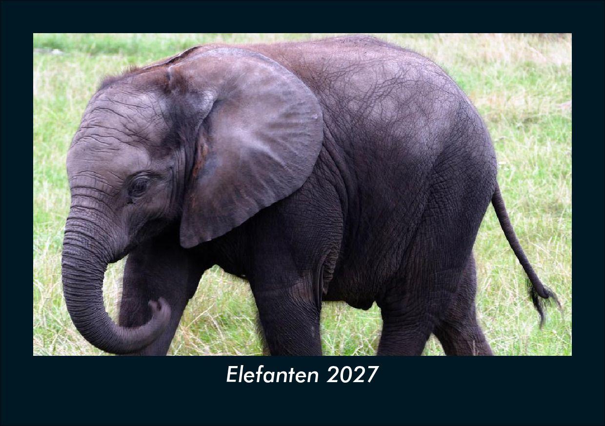 Elefanten 2027 Fotokalender DIN A5