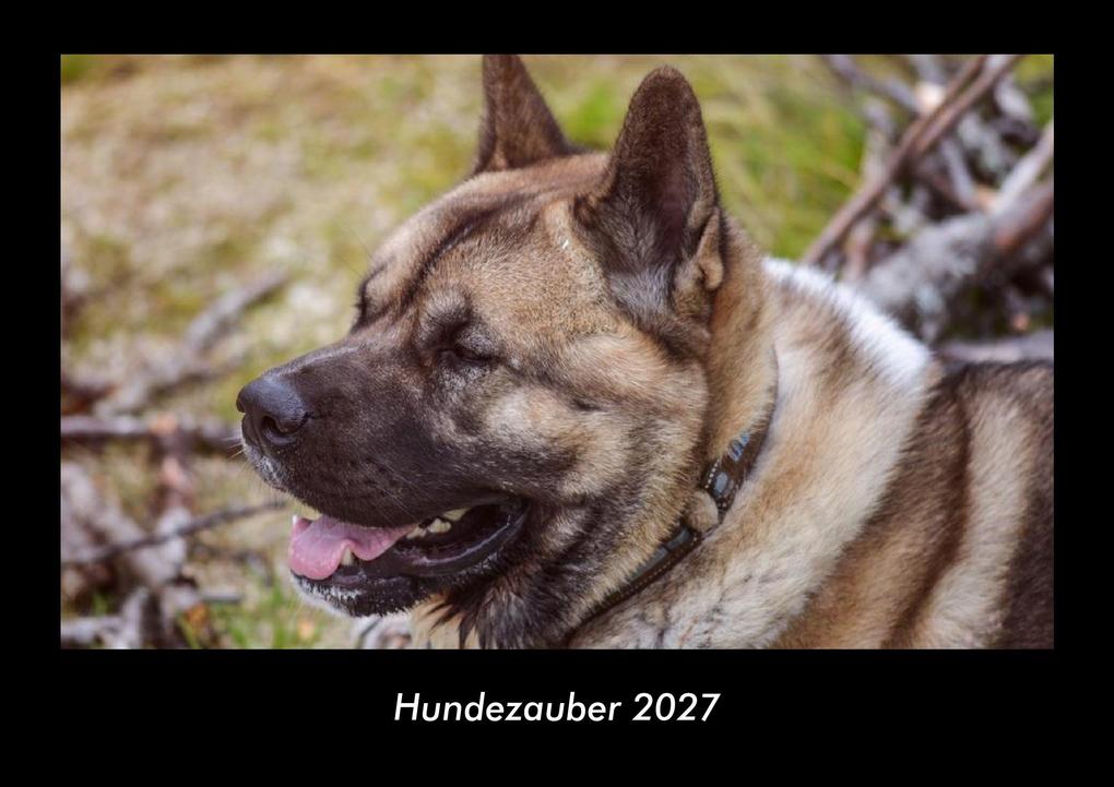 Hundezauber 2027 Fotokalender DIN A3