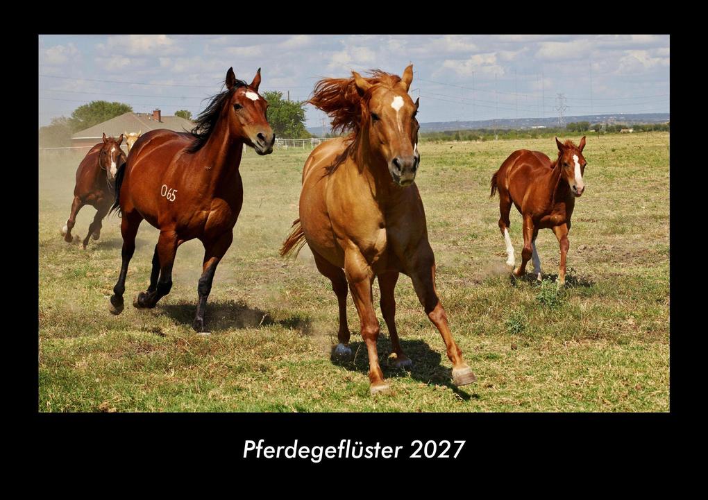 Pferdegeflüster 2027 Fotokalender DIN A3