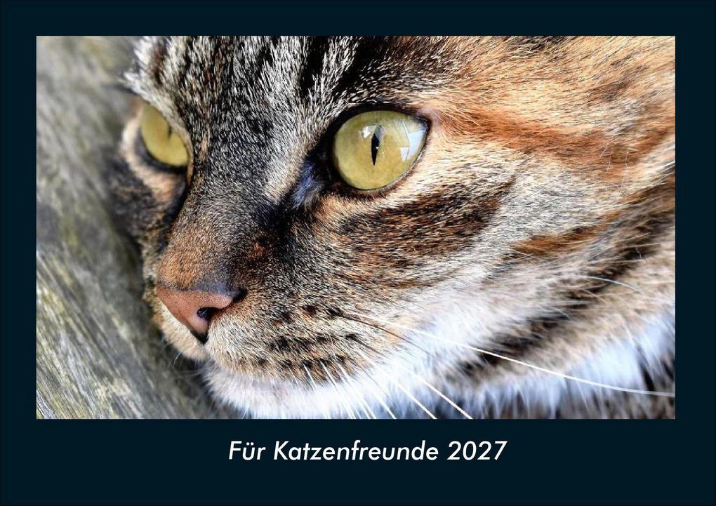Für Katzenfreunde 2027 Fotokalender DIN A4