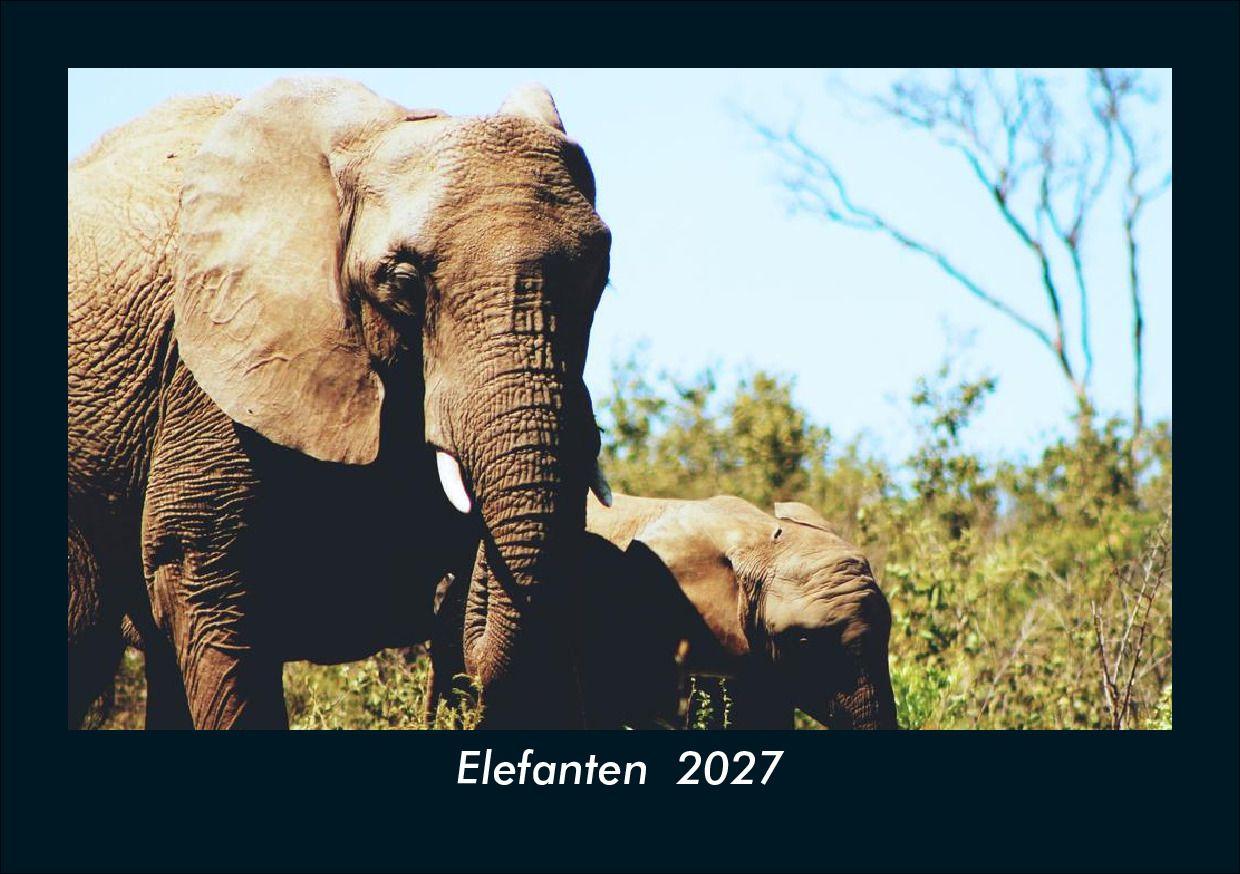Elefanten 2027 Fotokalender DIN A5
