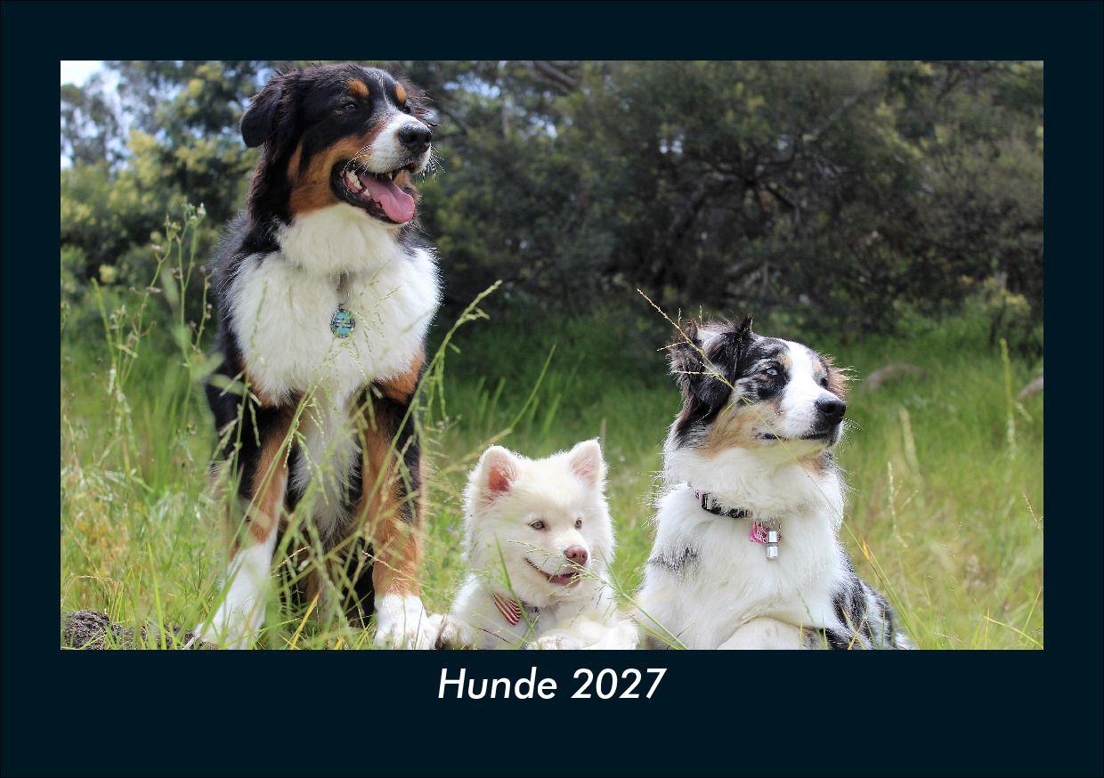 Hunde 2027 Fotokalender DIN A5