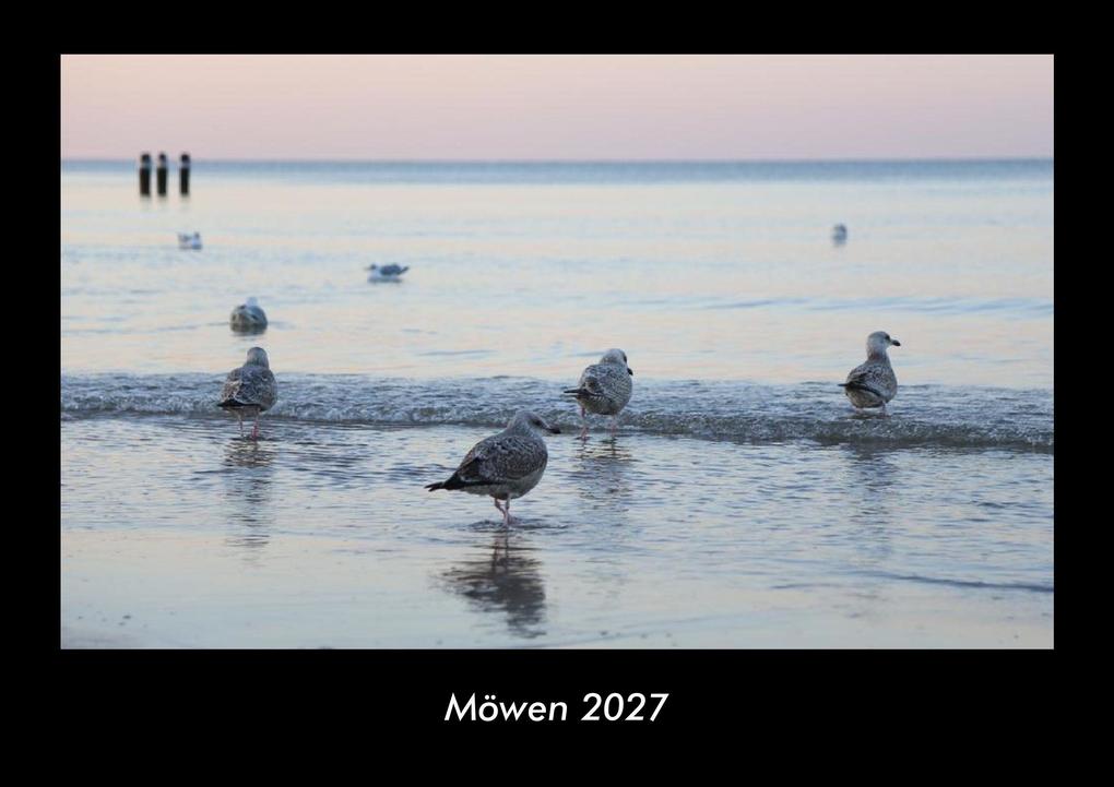Möwen 2027 Fotokalender DIN A3