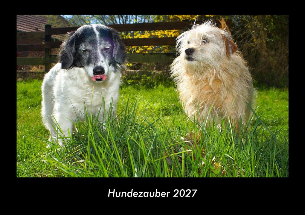 Hundezauber 2027 Fotokalender DIN A3