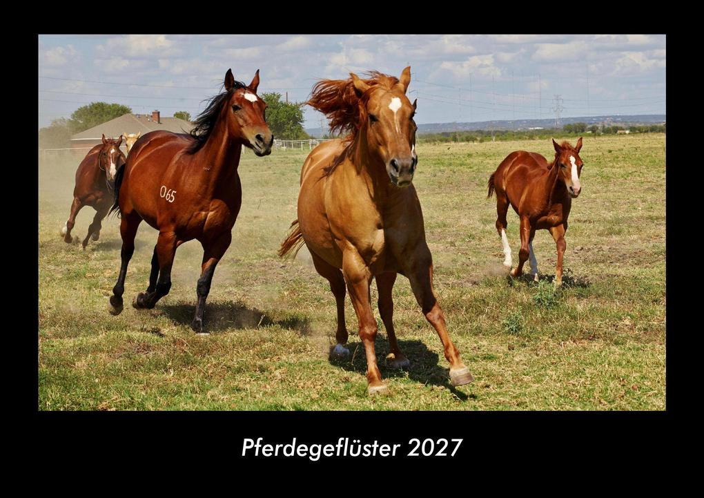 Pferdegeflüster 2027 Fotokalender DIN A3