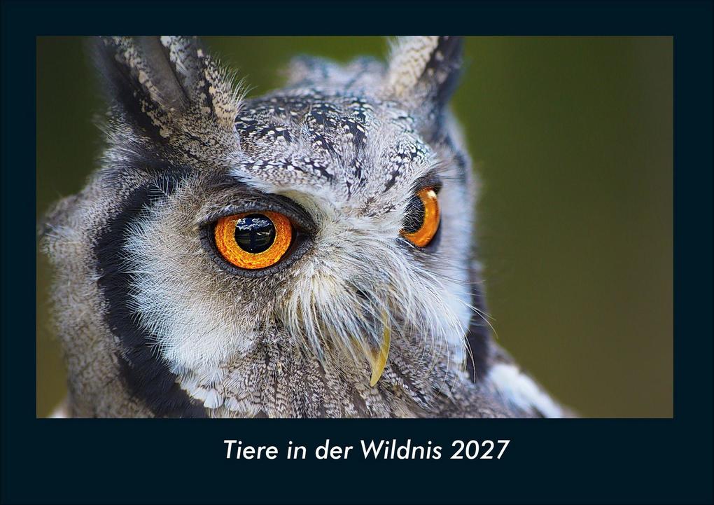 Tiere in der Wildnis 2027 Fotokalender DIN A4