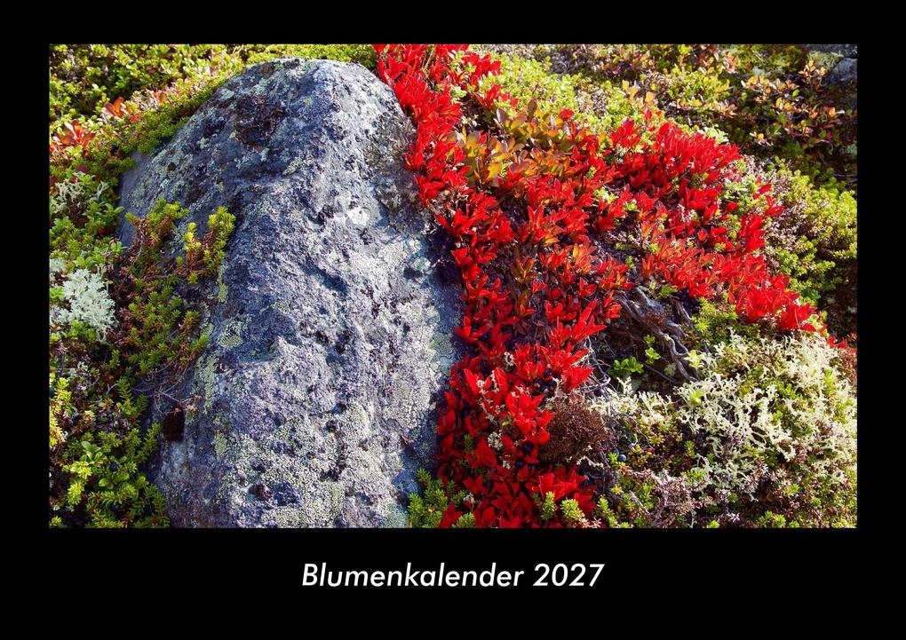 Blumenkalender 2027 Fotokalender DIN A3
