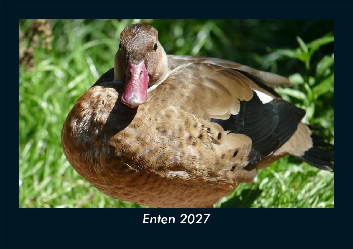 Enten 2027 Fotokalender DIN A5