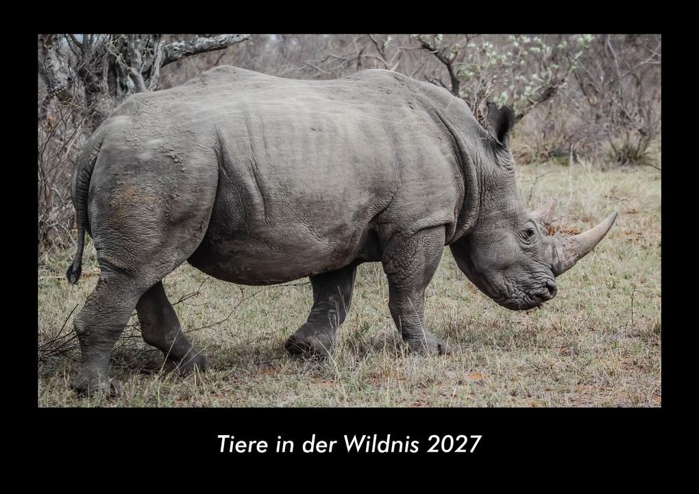 Tiere in der Wildnis 2027 Fotokalender DIN A3