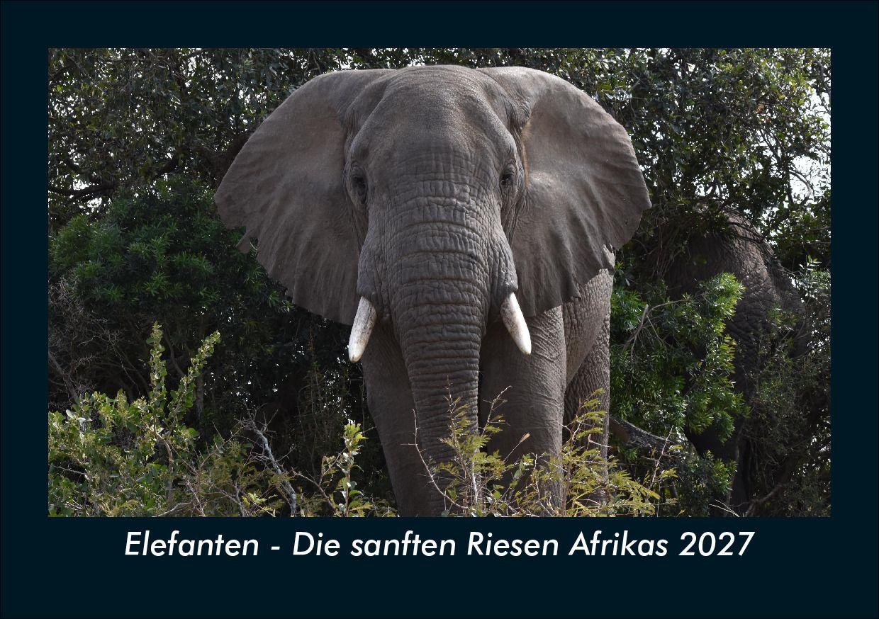 Elefanten - Die sanften Riesen Afrikas 2027 Fotokalender DIN A5
