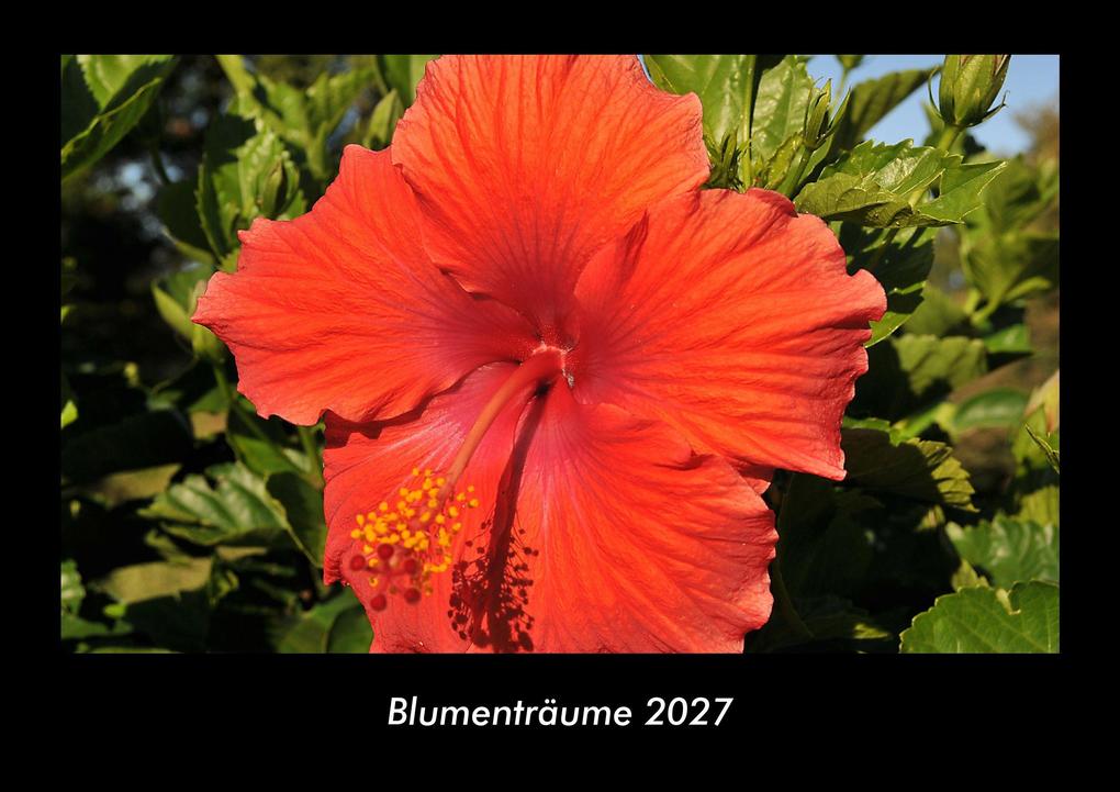 Blumenträume 2027 Fotokalender DIN A3