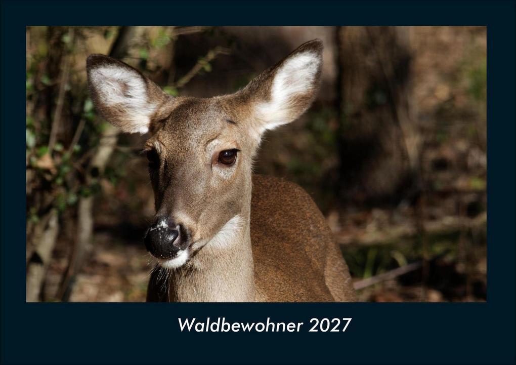 Waldbewohner 2027 Fotokalender DIN A4
