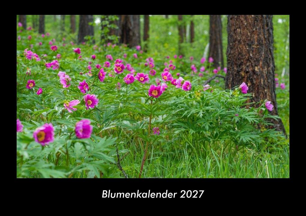 Blumenkalender 2027 Fotokalender DIN A3