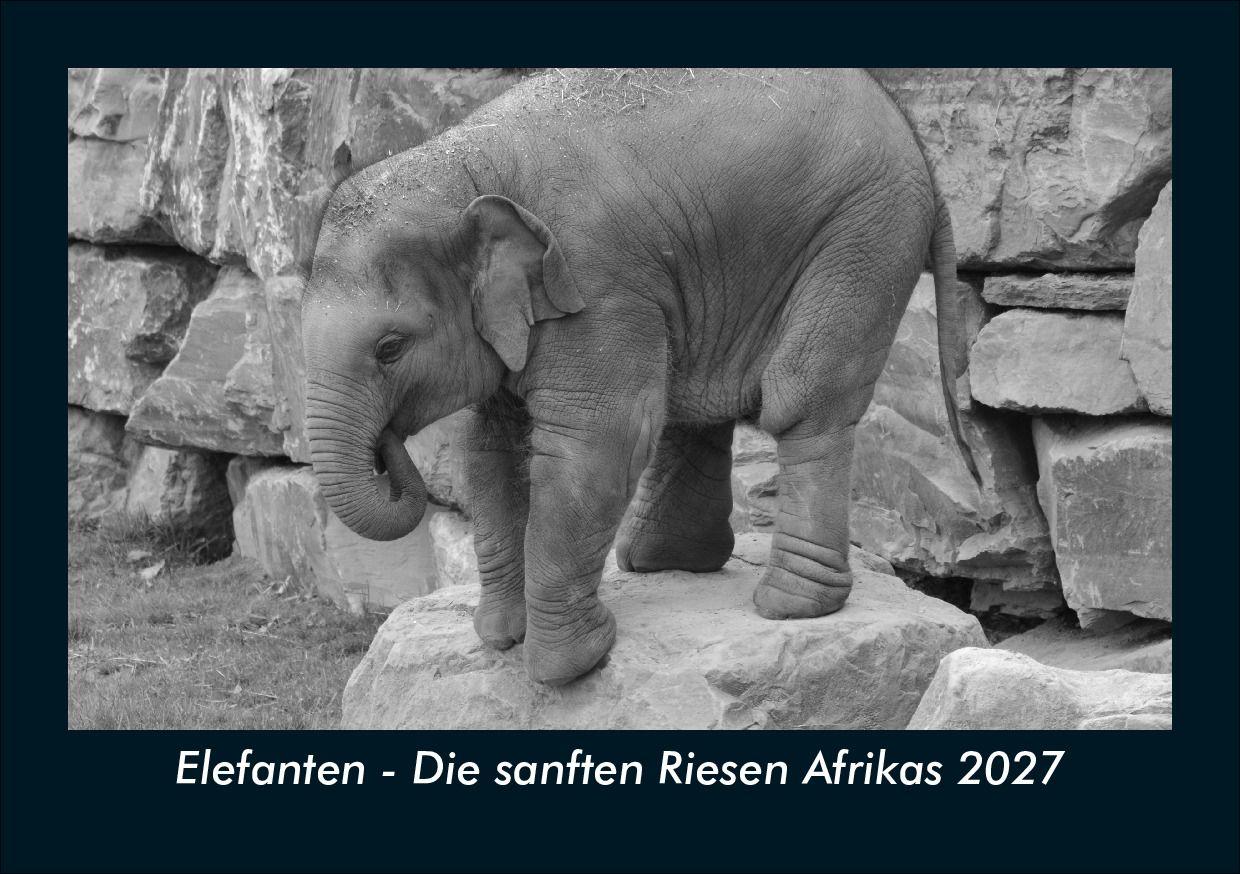 Elefanten - Die sanften Riesen Afrikas 2027 Fotokalender DIN A5