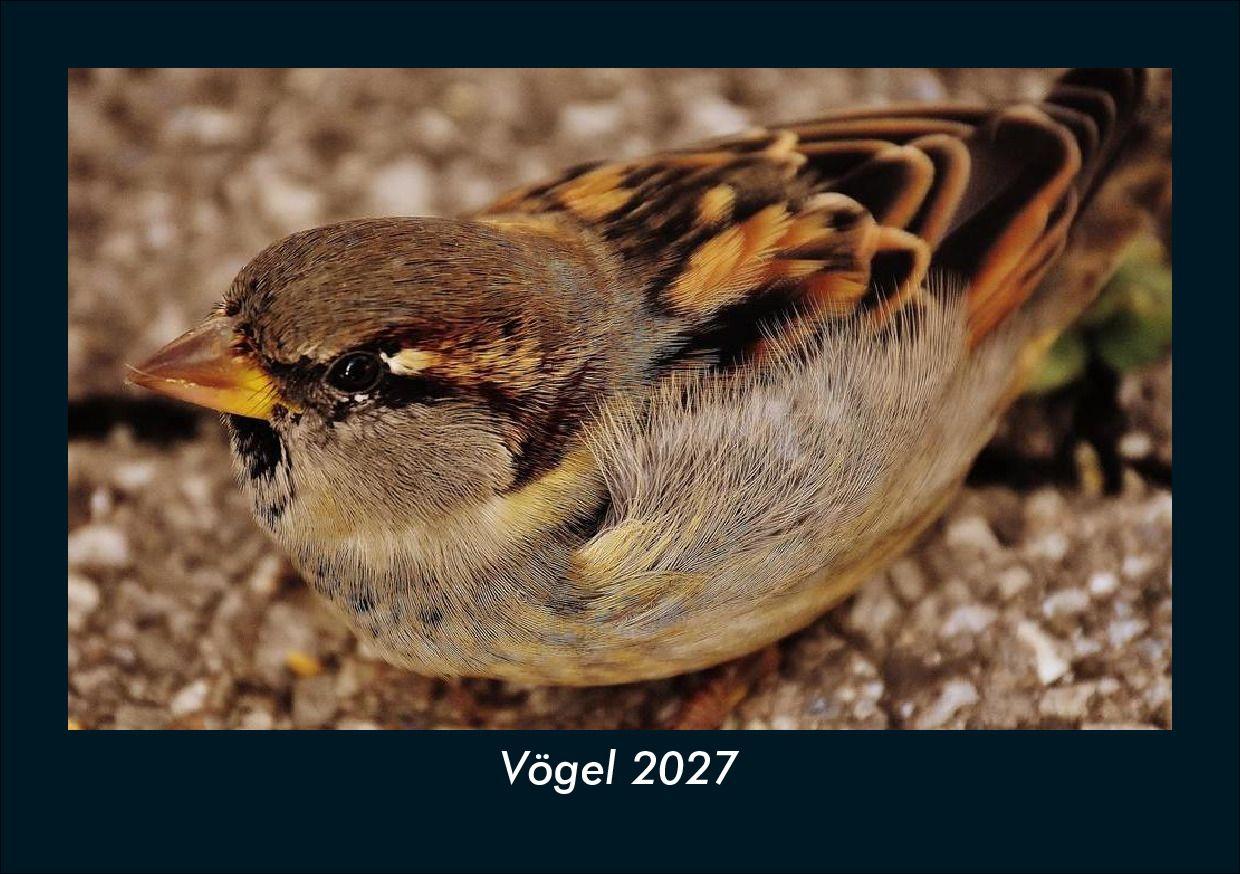 Vögel 2027 Fotokalender DIN A5