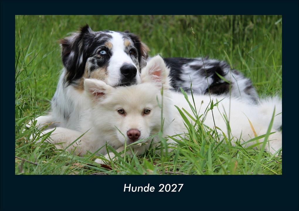 Hunde 2027 Fotokalender DIN A4