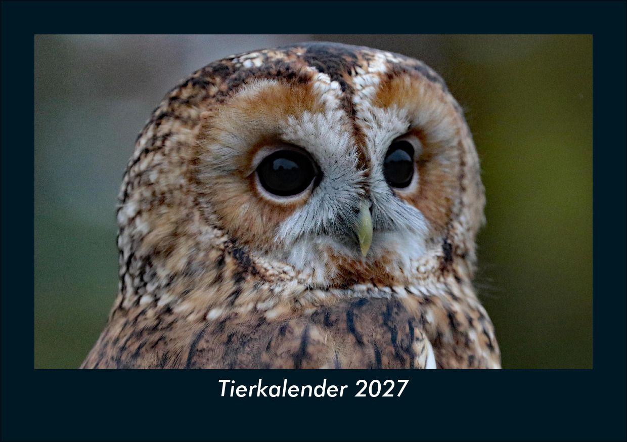 Tierkalender 2027 Fotokalender DIN A5