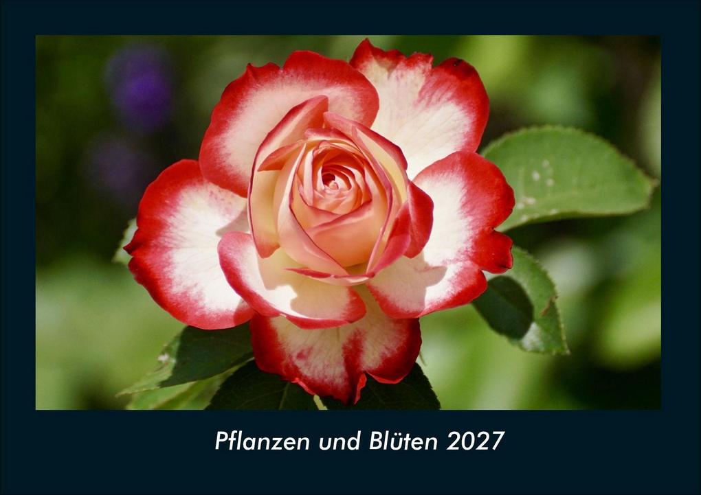 Pflanzen und Blüten 2027 Fotokalender DIN A4