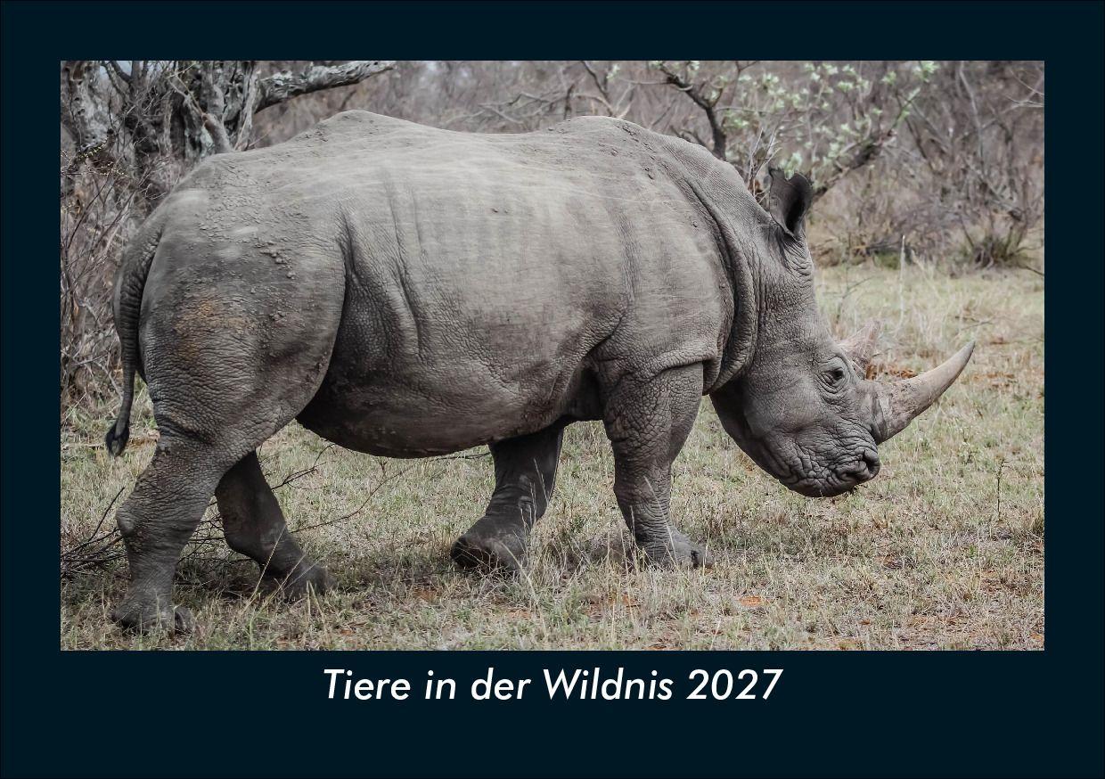 Tiere in der Wildnis 2027 Fotokalender DIN A5