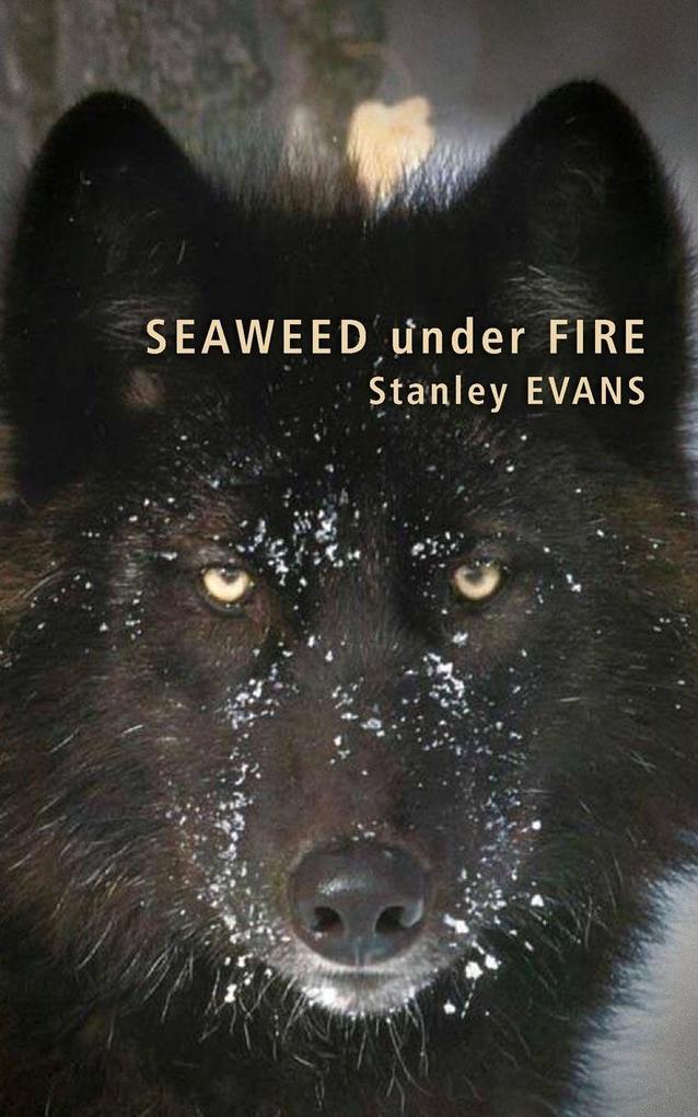 Seaweed Under Fire