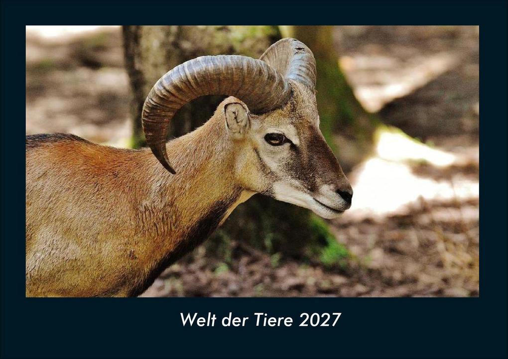 Welt der Tiere 2027 Fotokalender DIN A4
