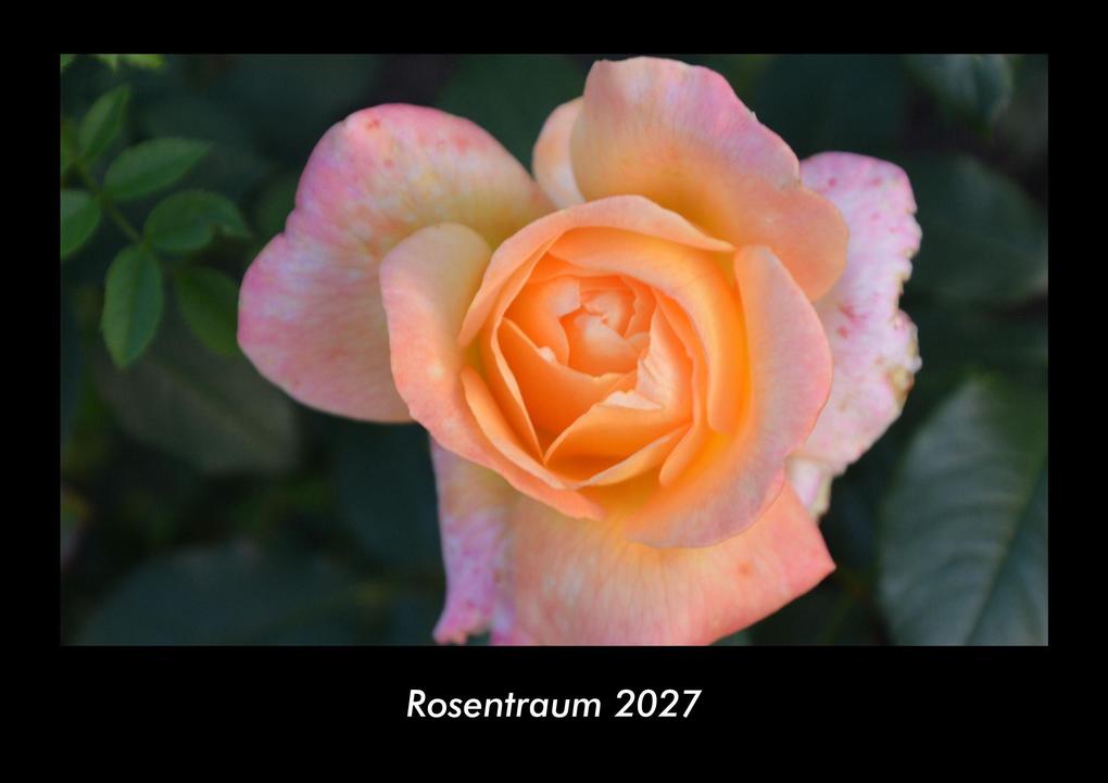 Rosentraum 2027 Fotokalender DIN A3