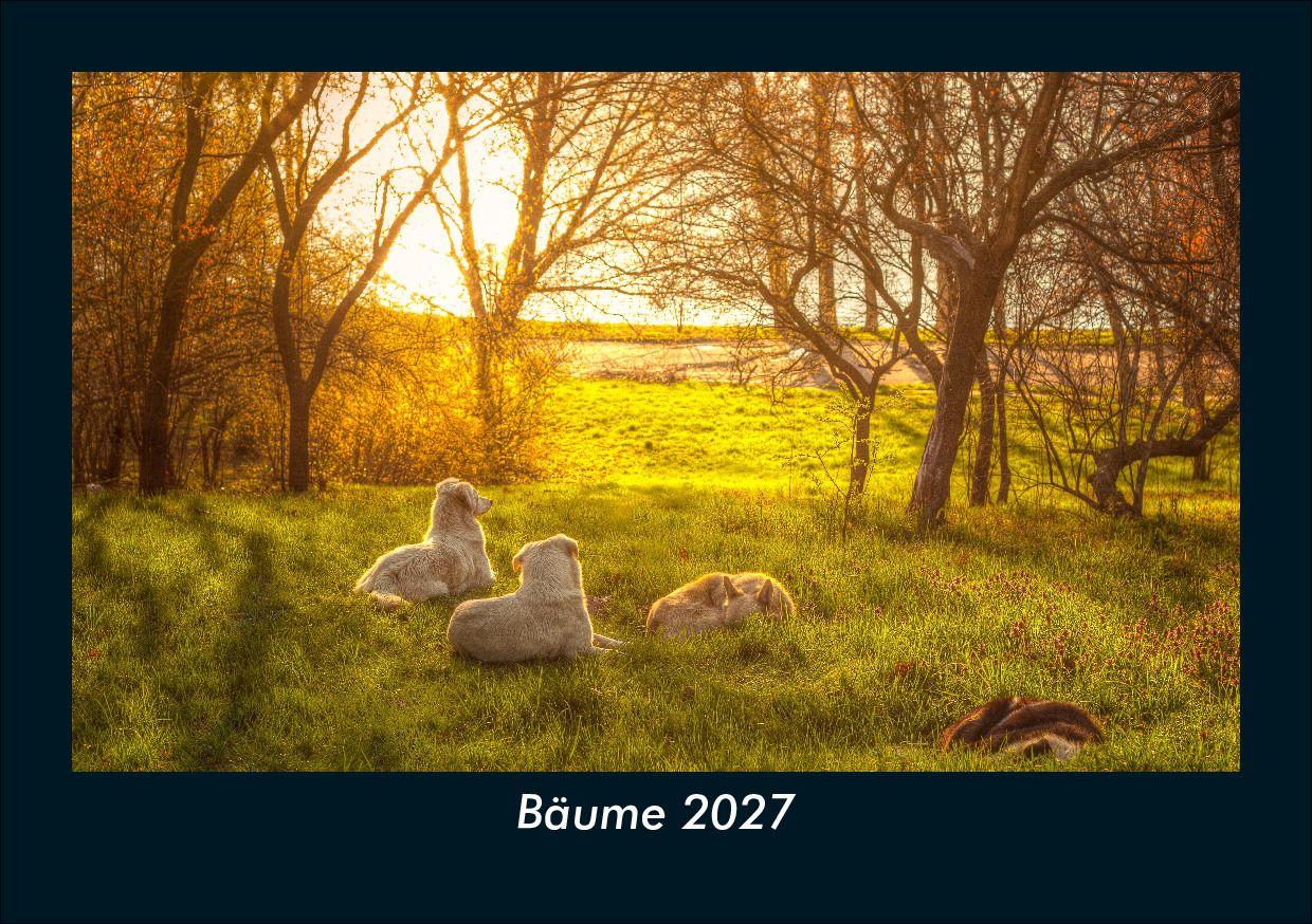 Bäume 2027 Fotokalender DIN A5