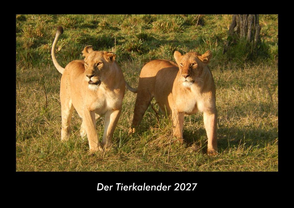 Der Tierkalender 2027 Fotokalender DIN A3