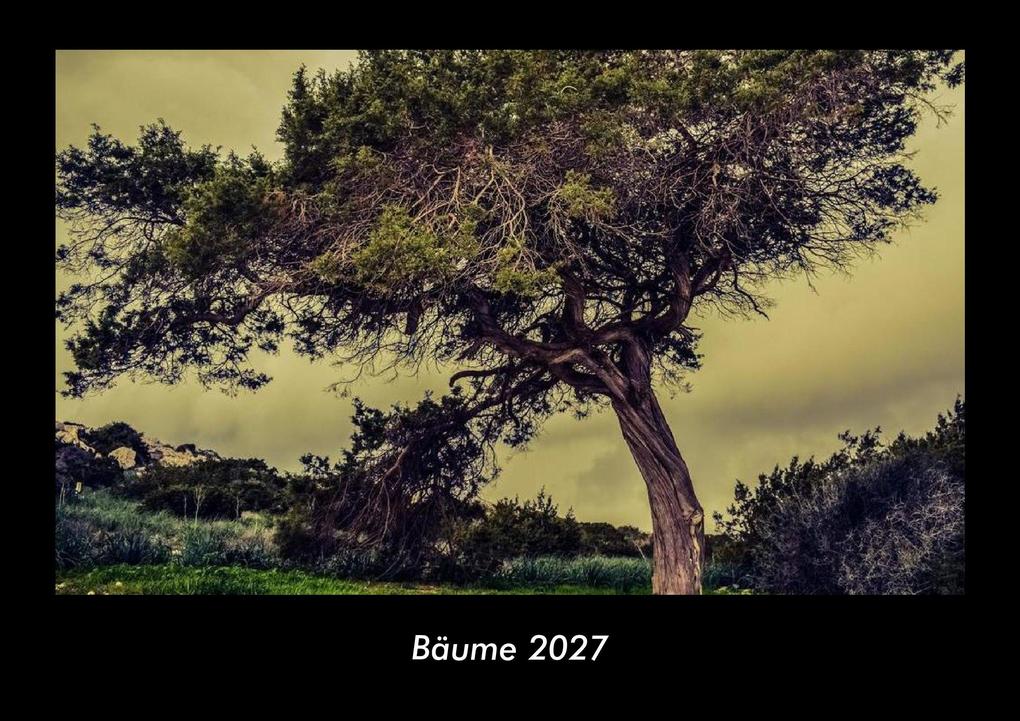 Bäume 2027 Fotokalender DIN A3