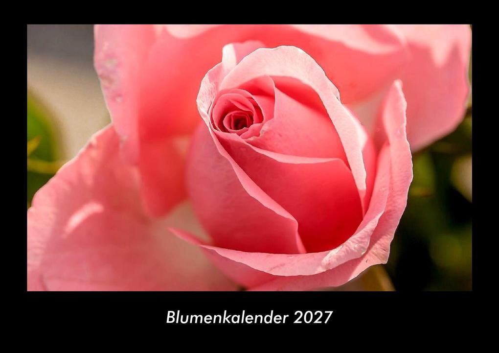 Blumenkalender 2027 Fotokalender DIN A3