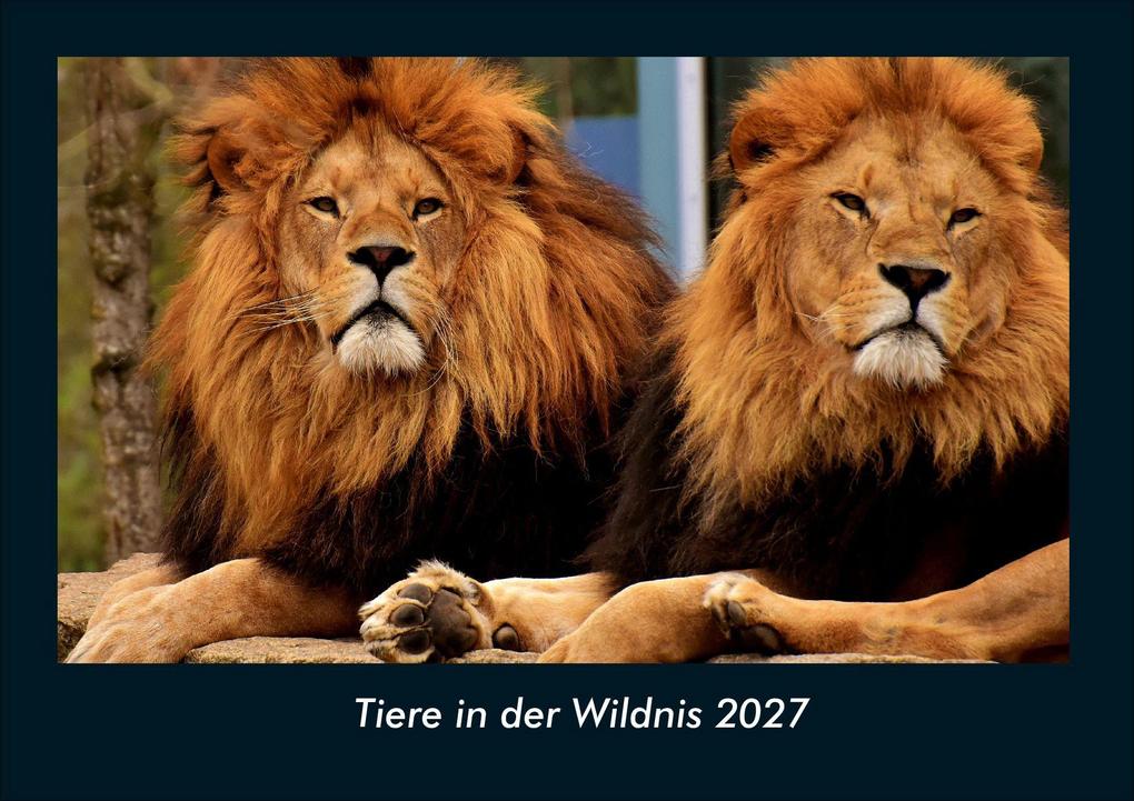 Tiere in der Wildnis 2027 Fotokalender DIN A4