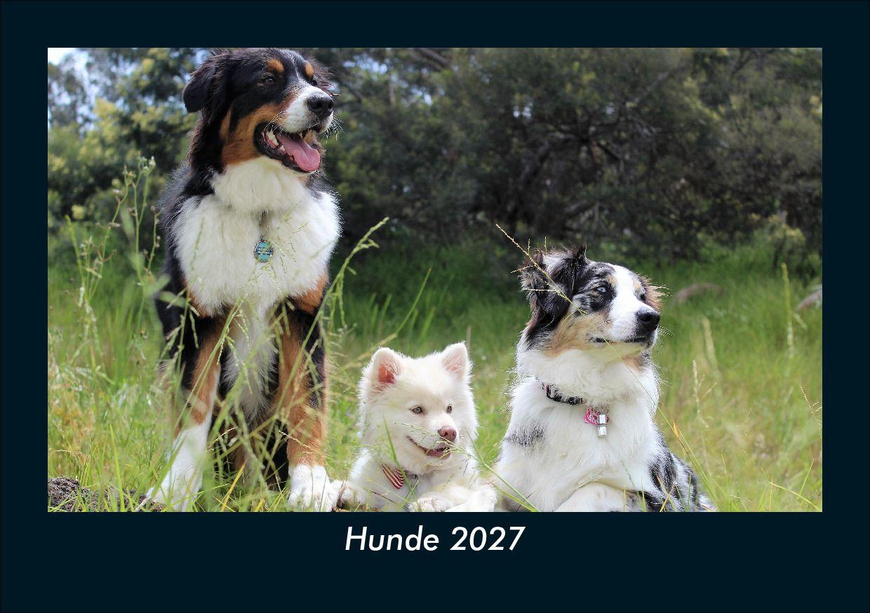 Hunde 2027 Fotokalender DIN A5