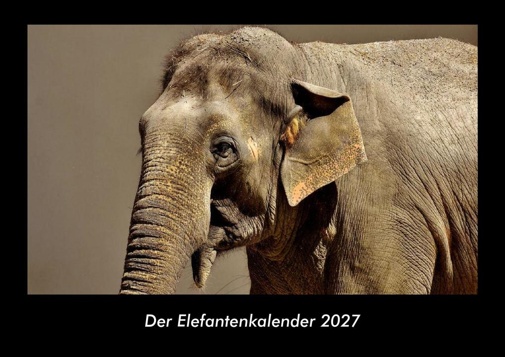 Der Elefantenkalender 2027 Fotokalender DIN A3