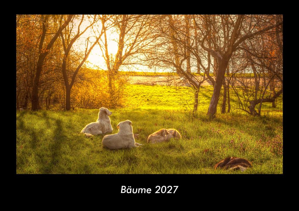 Bäume 2027 Fotokalender DIN A3