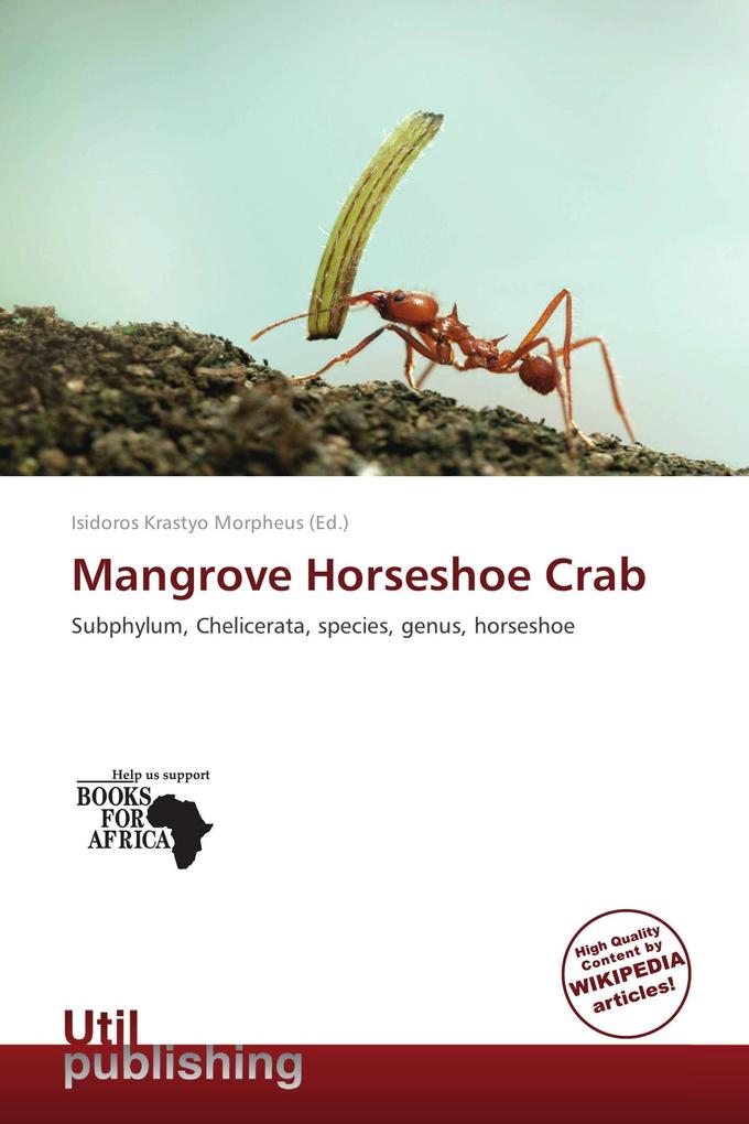 Mangrove Horseshoe Crab