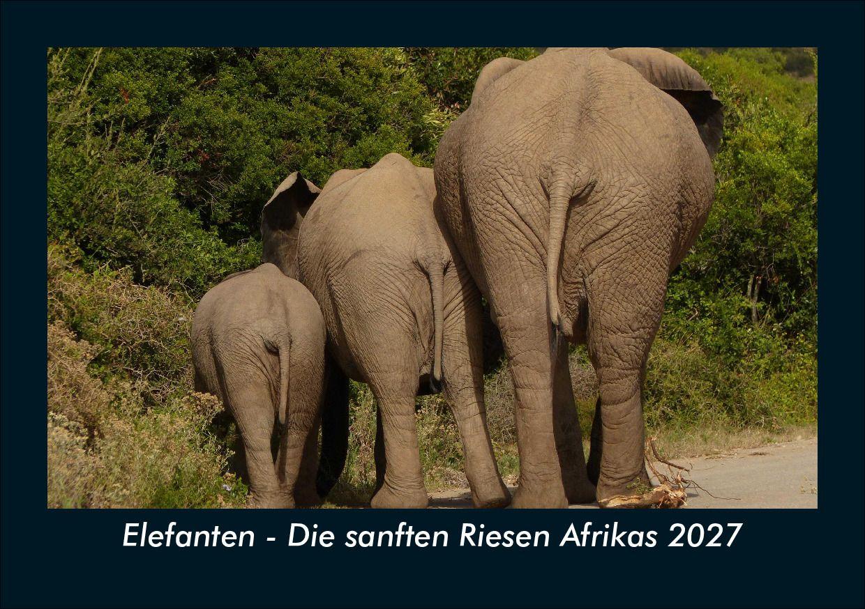 Elefanten - Die sanften Riesen Afrikas 2027 Fotokalender DIN A5