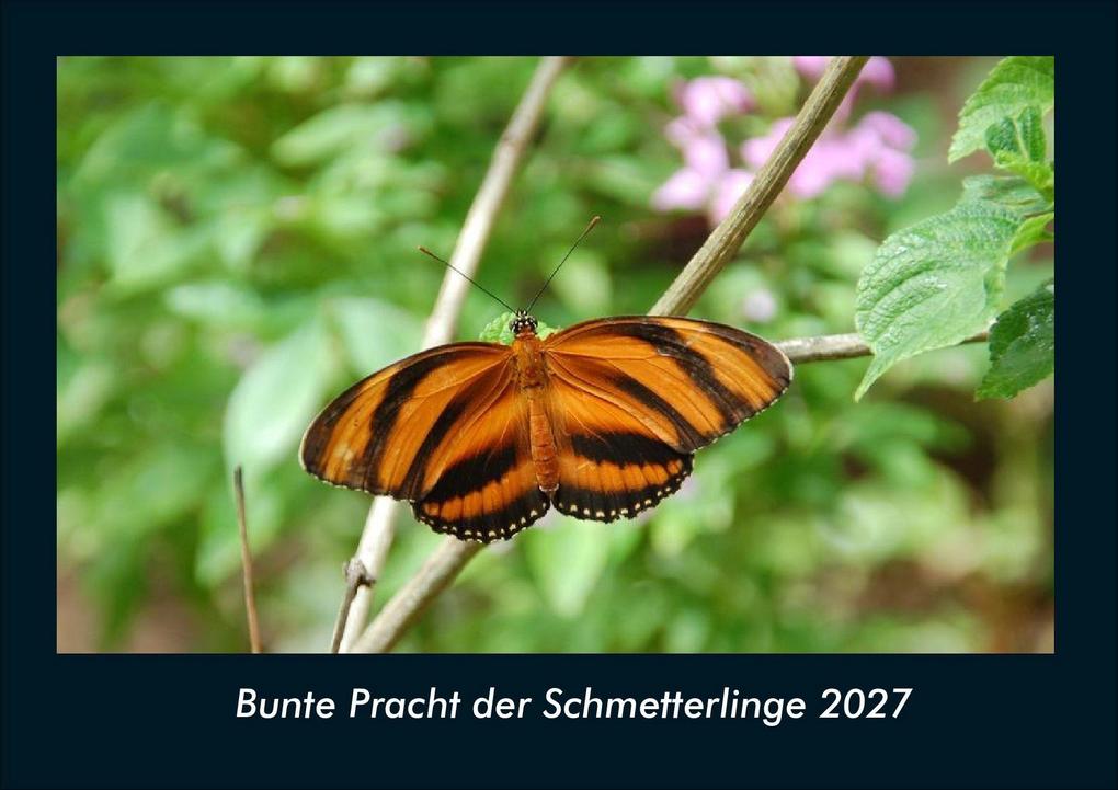Bunte Pracht der Schmetterlinge 2027 Fotokalender DIN A4