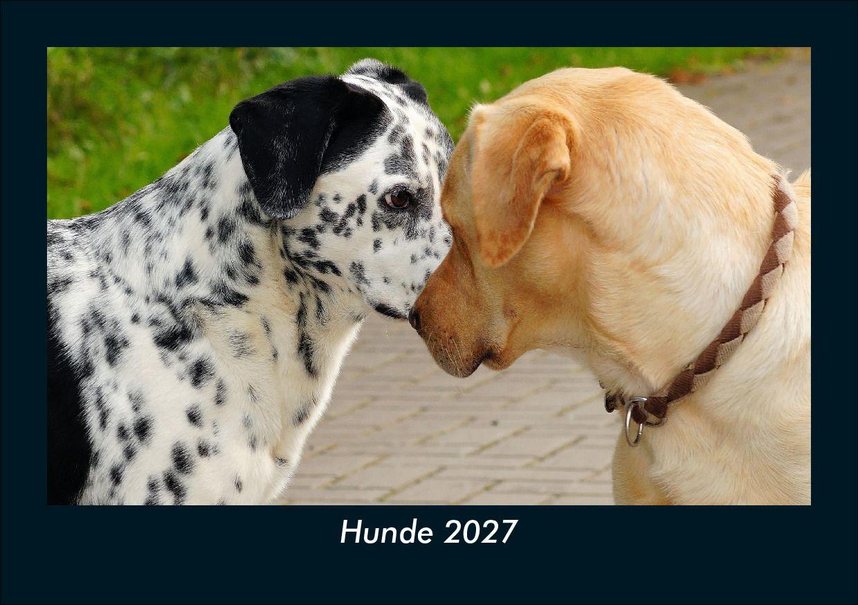 Hunde 2027 Fotokalender DIN A5