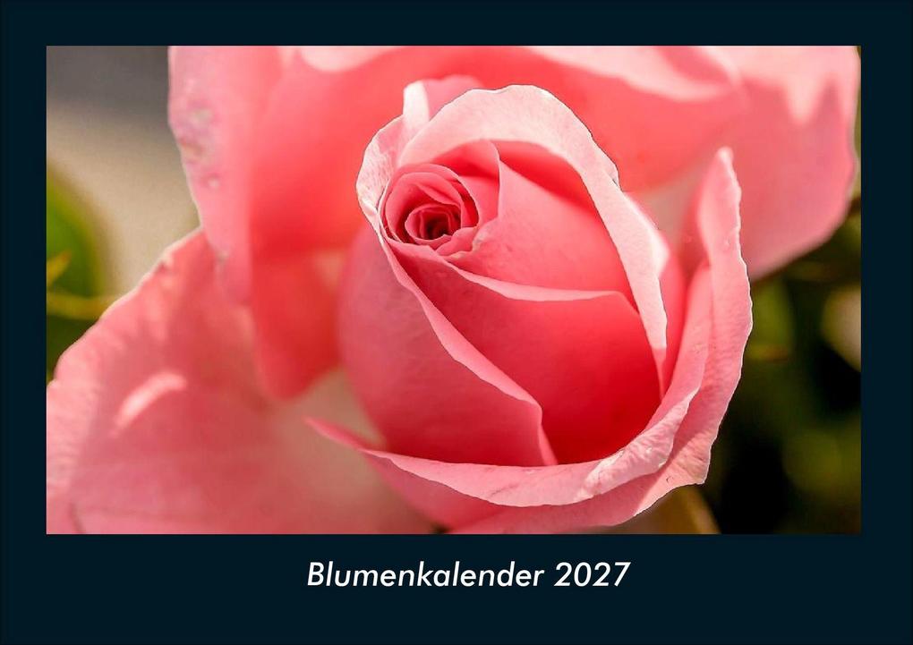Blumenkalender 2027 Fotokalender DIN A4