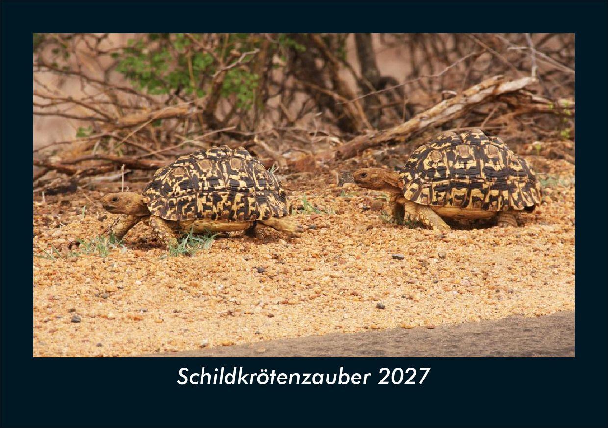 Schildkrötenzauber 2027 Fotokalender DIN A5