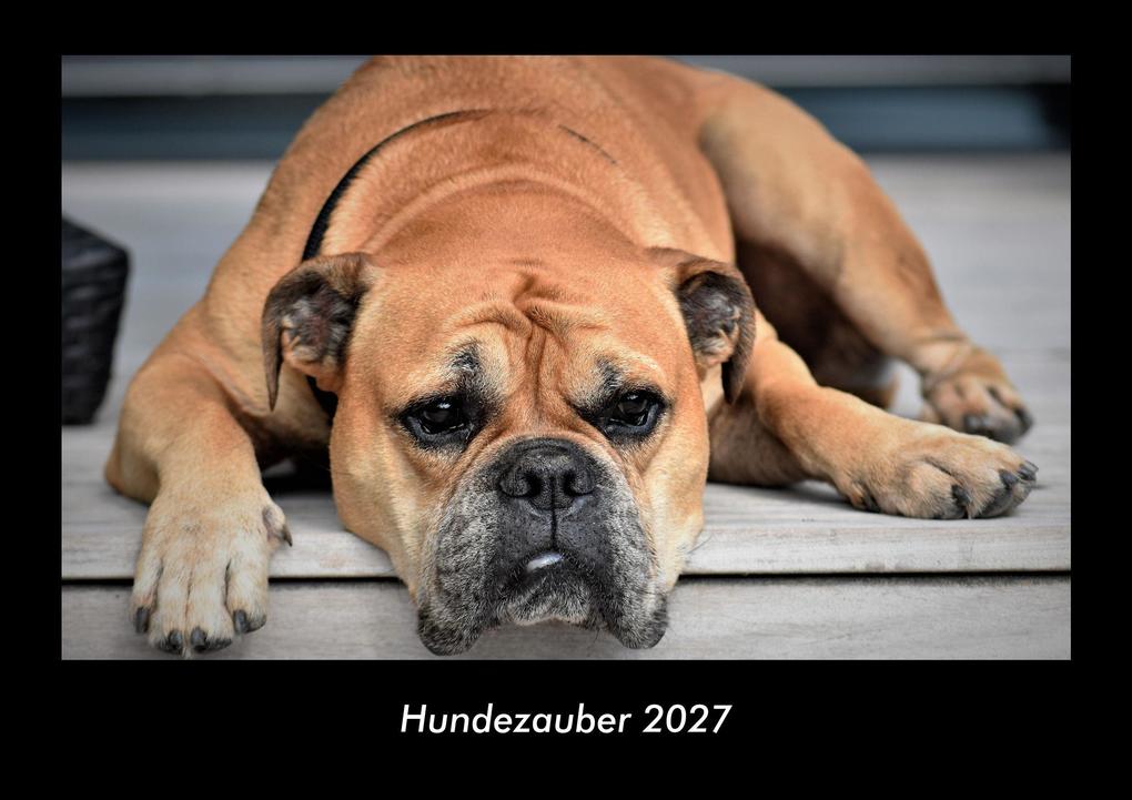 Hundezauber 2027 Fotokalender DIN A3