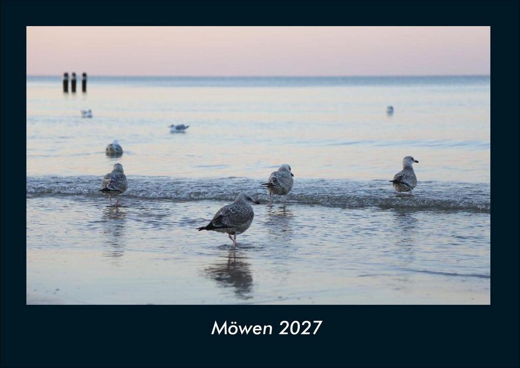 Möwen 2027 Fotokalender DIN A4