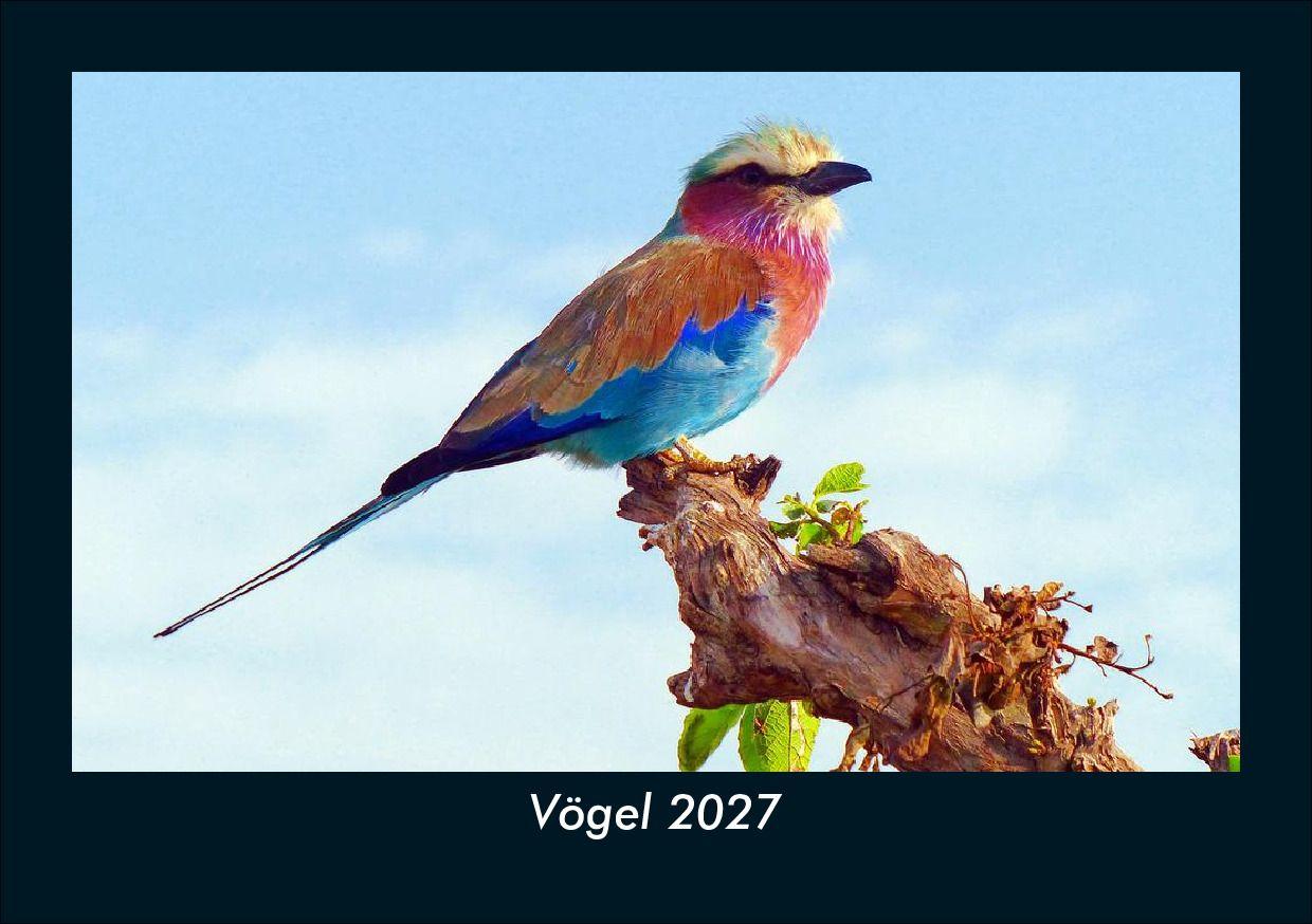 Vögel 2027 Fotokalender DIN A5