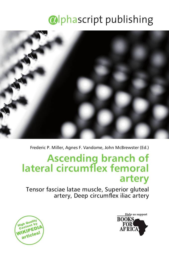 Ascending branch of lateral circumflex femoral artery