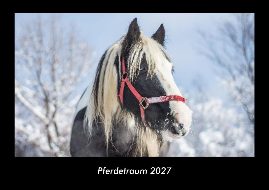 Pferdetraum 2027 Fotokalender DIN A3