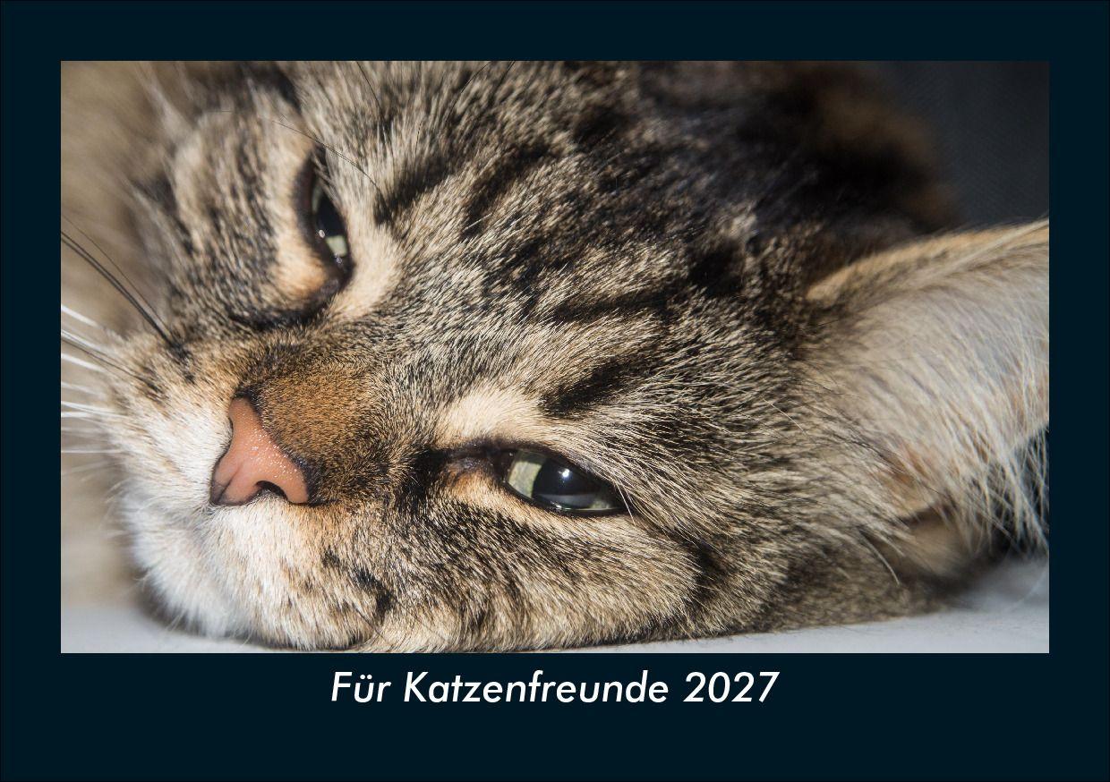 Für Katzenfreunde 2027 Fotokalender DIN A5