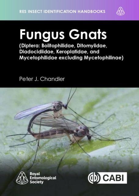 Fungus Gnats (Diptera: Bolitophilidae Ditomyiidae Diadocidiidae Keroplatidae and Mycetophilidae excluding Mycetophilinae)