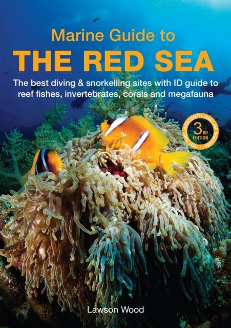 A Marine Guide to the Red Sea
