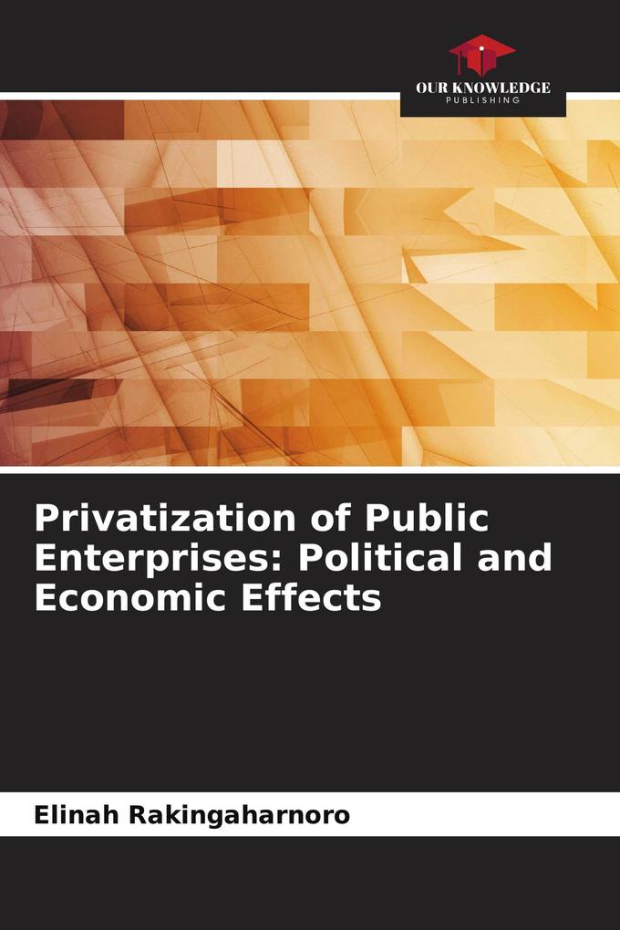 Privatization of Public Enterprises: Political and Economic Effects
